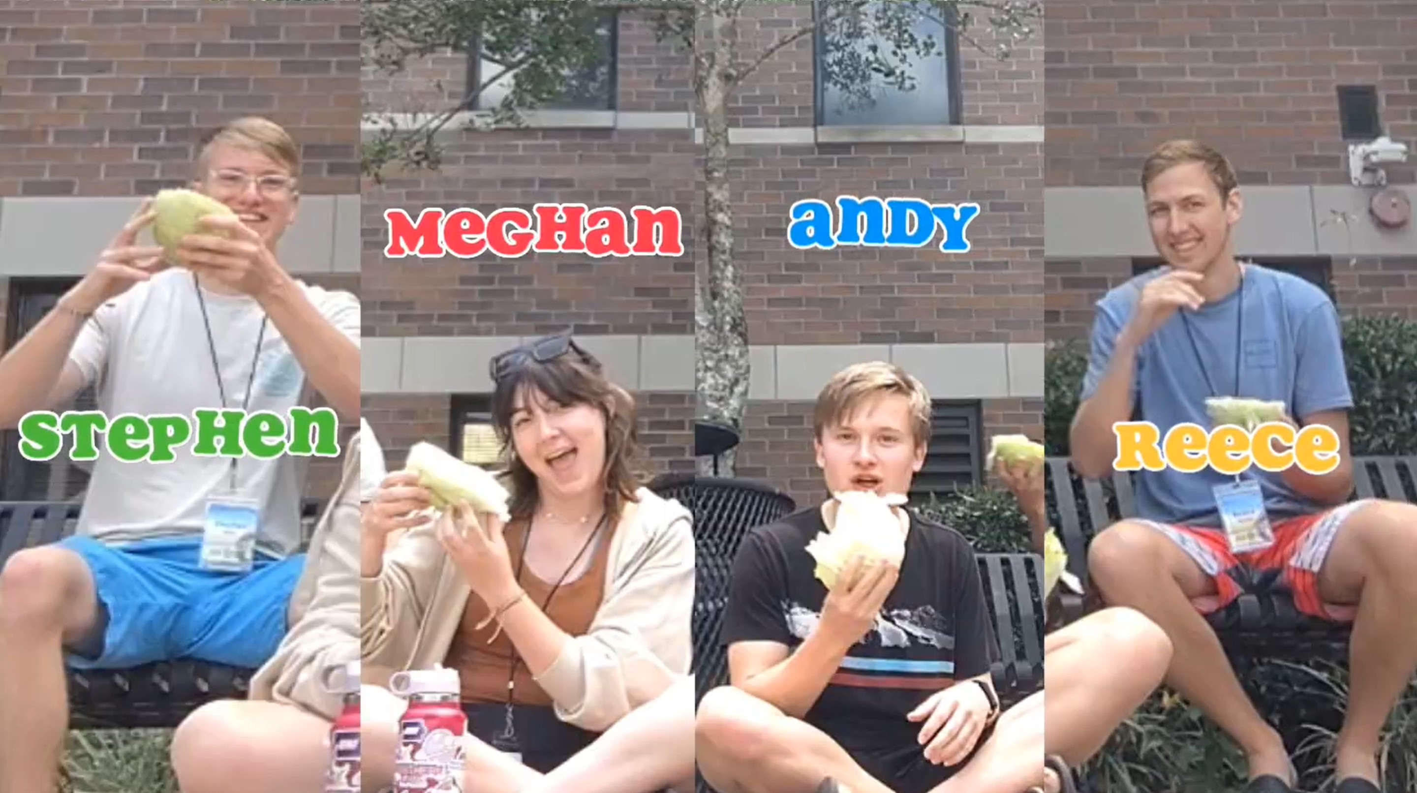 I wonder what will go here